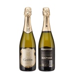 0019591 pjenusac griffin brut ivancic 075l zoi brut
